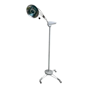 1950s Wilmot Castle Industrial Rolling Floor Lamp
