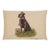Sir Lancelot Labrador Cushion With Feather Filler - 33x46cm (13"x18") For Sale