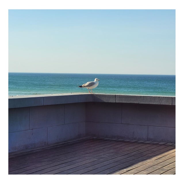 Justyna Napiorkowska, The Seaside, Photography, Limited Edition This piece has an attribution mark, I am sure that it is...