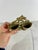 Victorian Vintage Brass Match Holder For Sale - Image 3 of 7