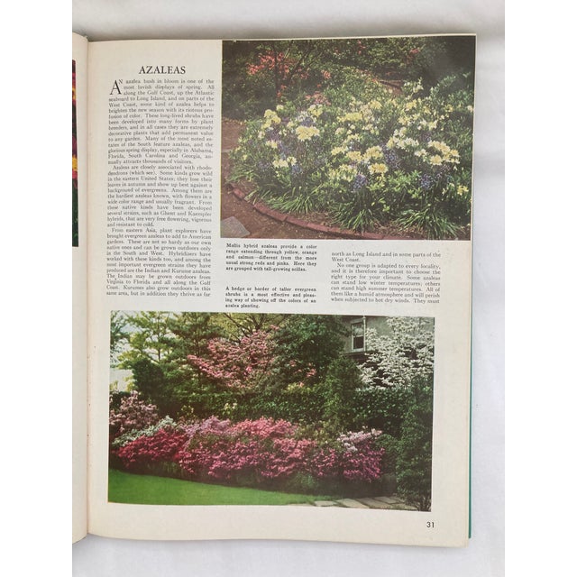 Green The Complete Guide to Garden Flowers / a Vintage Encyclopedia of Garden Planning / 1972 For Sale - Image 8 of 12