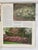 Green The Complete Guide to Garden Flowers / a Vintage Encyclopedia of Garden Planning / 1972 For Sale - Image 8 of 12