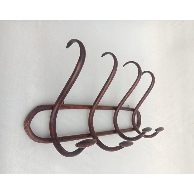 Vintage Bentwood Wall Coat Rack, 1950s For Sale - Image 6 of 6