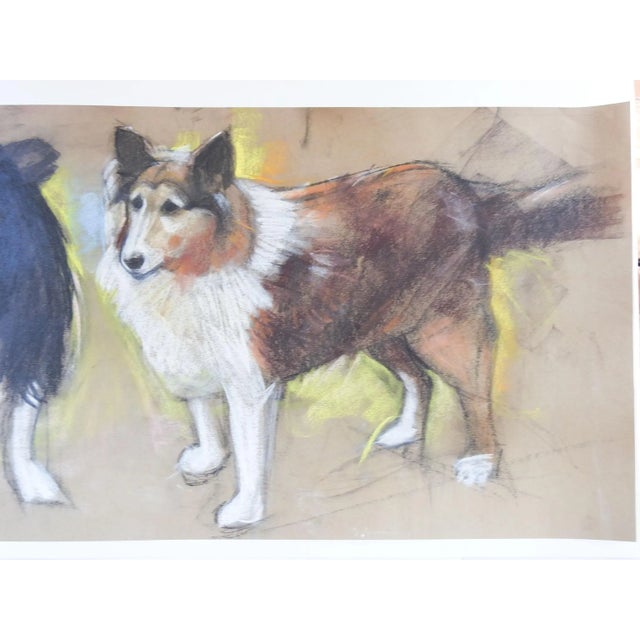 Circa 1990's long format pastel on paper of a pair of Sheltie or Collie dogs by Steve Hodges (20th century) Texas....