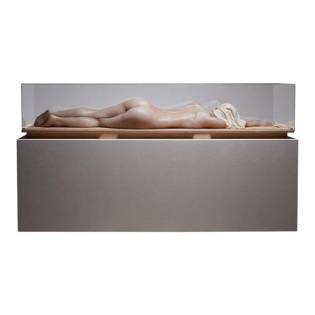 Nude Lady, 2000s, Wax Figure in Acrylic Glass For Sale - Image 9 of 9