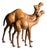 Leather Decorative Statues of Dromedaries, Set of 2 For Sale