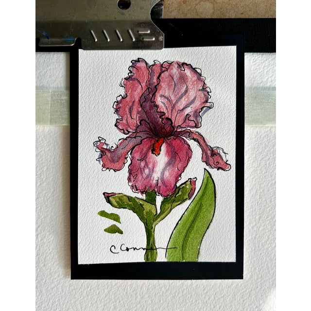 2020s Giclee Print of Watercolor Ink and Wash Small Painting “Pink Iris” For Sale - Image 5 of 10