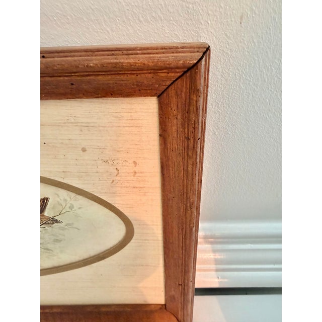 Vintage Marjorie Morrow “Sparrows” Framed Bird Print, 1983 For Sale In Charleston - Image 6 of 8