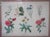 Traditional Pair of Large Floral Botanical German Color Engravings For Sale - Image 3 of 16