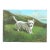 Avocado Vintage Oil Painting on Wood Panel – West Highland White Terrier in Scottish Landscape For Sale - Image 8 of 9