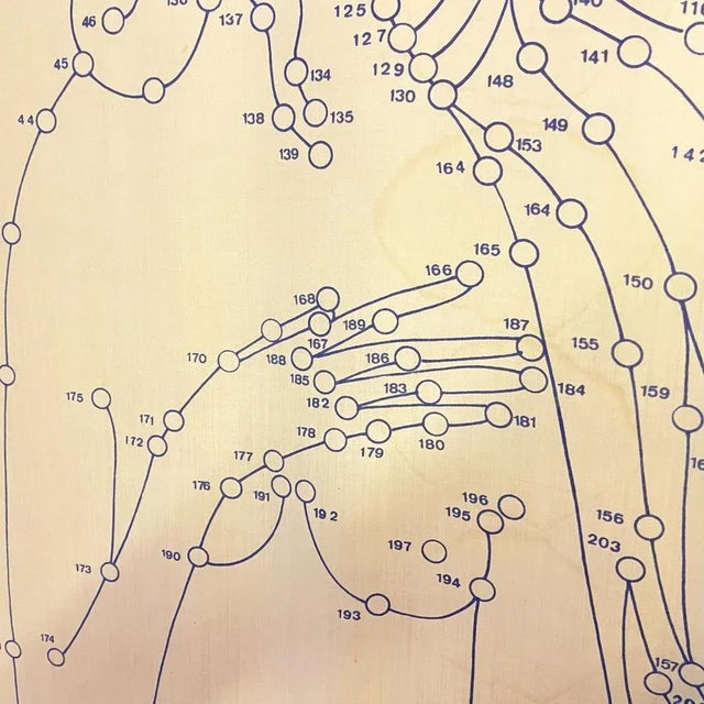 Italian Wall Print on Fabric of Botticellis Venus attributed to Pino Tovaglia, 1969 For Sale - Image 9 of 13