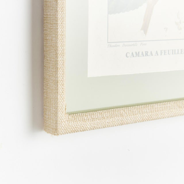 This set of coordinating blooming plant studies is a traditional collection of six. Finished off with green mat and...