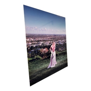 David Drebin - “The Bachelorette”