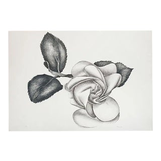 lack Rose - Original Etching by Giacomo Porzano - 1972 1972 For Sale