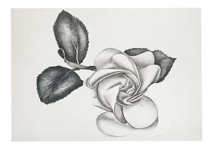lack Rose - Original Etching by Giacomo Porzano - 1972 1972