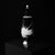 Black Lidded Vase No. 36 by Alessandro Mendini for Alessi, Germany For Sale - Image 9 of 12