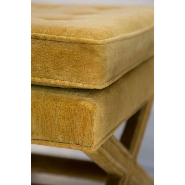 Pair of Mustard Yellow Velvet "X" Benches Chairish