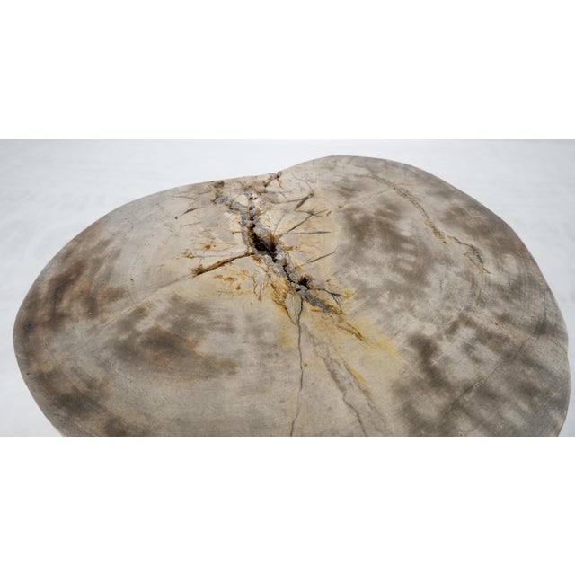 Beige to Black Petrified Wood Organic Stomp Shape Stand End Side Table Pedestal