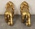 Gold painted lions from the DJ Khalid luxury home decor line. Each lion is given a sculpted and abstract geometric shape....