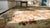 1870s Brown Floral Medallion Antique French Aubusson Napoleon III Carpet 11' X 13' 7" Flatweave Wool Rug For Sale - Image 12 of 12