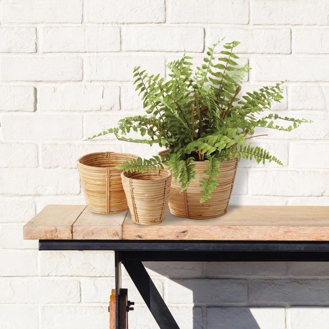 Kenneth Ludwig Chicago Cane Rattan Mini Round Tapered Baskets, Set Of 3 For Sale - Image 4 of 4