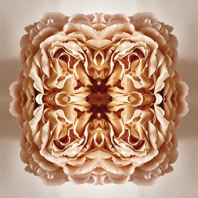 "Ancien" Contemporary Original Op Art Botanical Print by Erin Derby For Sale