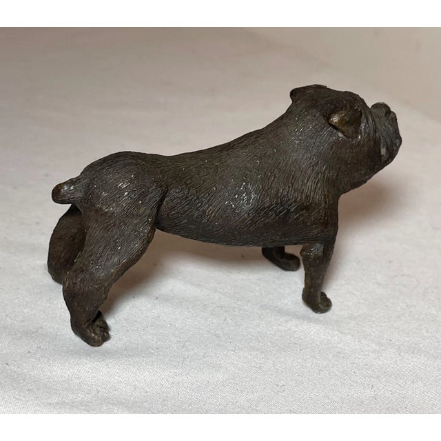 Antique Austrian Miniature Bronze Dog Bulldog Statue Figure Sculture Realistic For Sale - Image 12 of 12