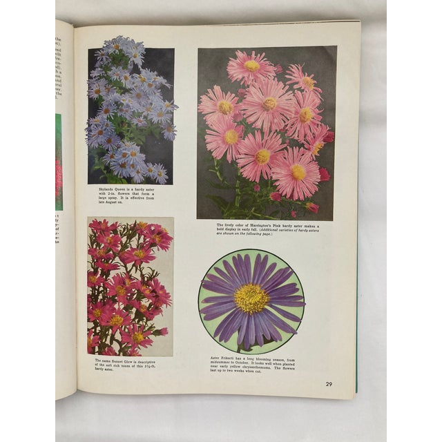 Paper The Complete Guide to Garden Flowers / a Vintage Encyclopedia of Garden Planning / 1972 For Sale - Image 7 of 12