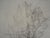 Alberto GIACOMETTI (1901-1966) (after) Trees Lithograph after a drawing by the artist Signed in the plate On wove paper,...