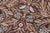 Textile Botanical 1990's Pak-Persian Brown/Gray Wool Round Rug- 6'2'' X 6'3'' For Sale - Image 7 of 9