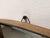 Vintage Italian Wall Mirror, 1960 For Sale - Image 6 of 10
