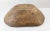 19th Century or Earlier Rustic Carved Primitive Farmhouse Trencher Dough Bowl For Sale - Image 12 of 12