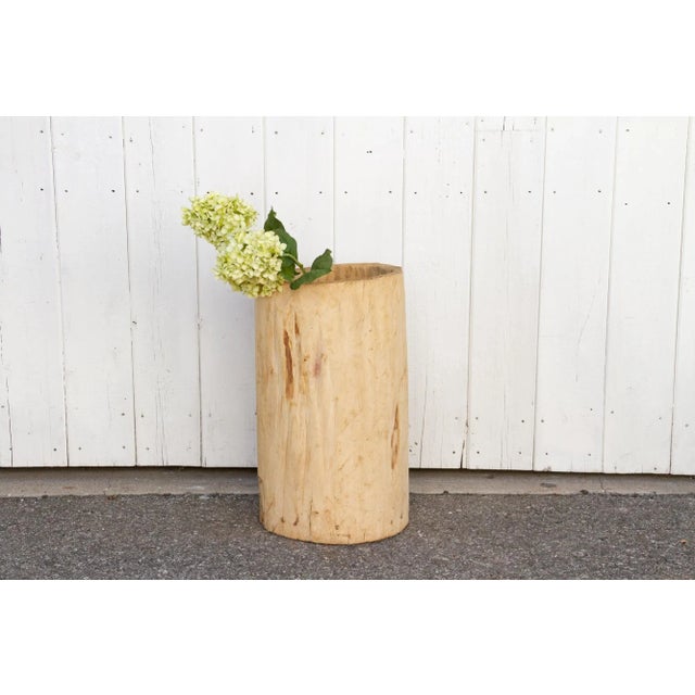 A large vintage wood pot with a clean bleached finish and irregular cylindrical shape. This rustic tall planter is hand-...