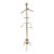 Vintage Brass Italian Valet For Sale