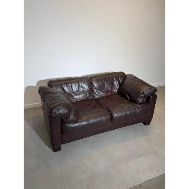 Animal Skin DS 17 Dark Burgundy Brown Sofa from de Sede, Set of 2 For Sale - Image 7 of 9