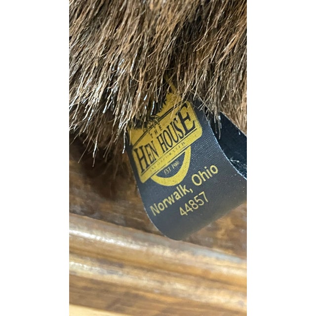 Large Henhouse Bear by the Henhouse Company in Norwalk, Ohio For Sale In San Francisco - Image 6 of 8