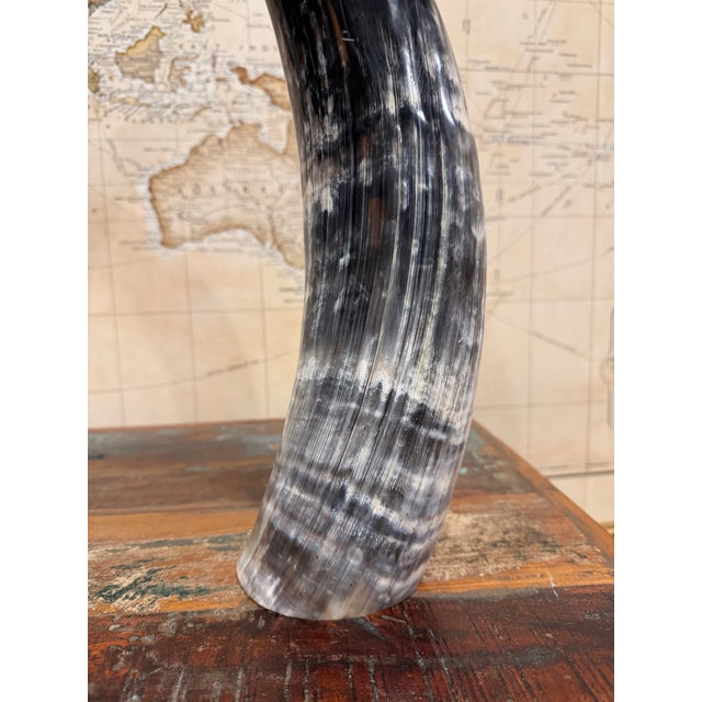 Dramatic Dark Ankole Watusi Horn Pair – 28” Polished Ugandan Horns – Ralph Lauren Safari Style For Sale - Image 4 of 6