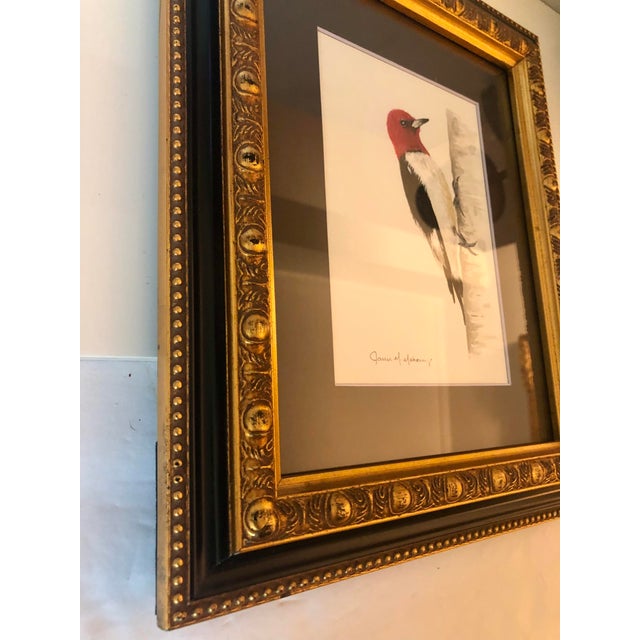 2020s Original Redheaded Woodpecker Watercolor by James Mahoney For Sale - Image 5 of 11
