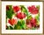 Giclee Fine Art Print of the Watercolor Painting ‘Tissue Poppies’ For Sale - Image 4 of 4