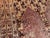Early 20th Century Galerie Shabab Collection Early 20th Century Turkish Sivas Throw Rug For Sale - Image 5 of 8