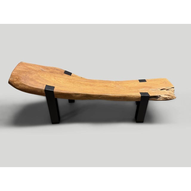 Andrianna Shamaris Impressive Teak Wood and Metal Chaise or Bench For Sale - Image 16 of 18