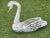 White Wooden Swan Carved and Painted Decoy Sculpture For Sale - Image 8 of 10