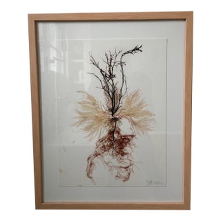 Seaweed Botanicals For Sale