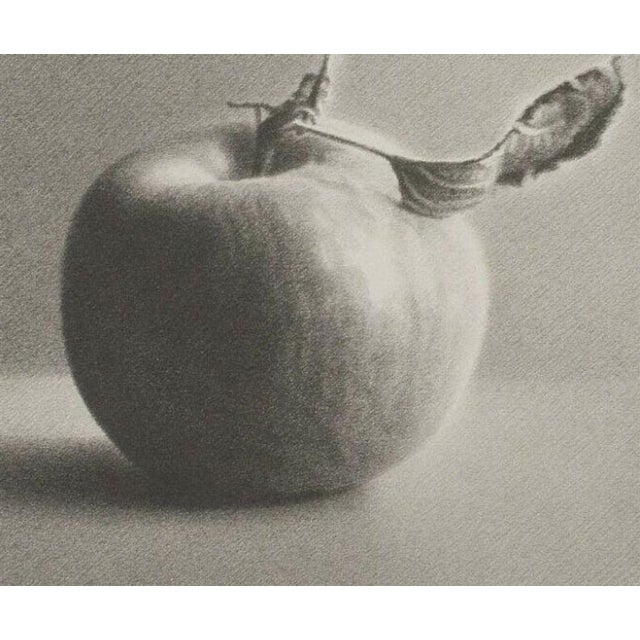 Vintage Martha Alf "Apple" Still Life Lithograph Print Limited Edition Signed (236/250) For Sale - Image 4 of 4
