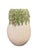2000 - 2009 Hand-Crafted Italian Majolica Cabbage and Succulent Ceramic Vase For Sale - Image 5 of 12