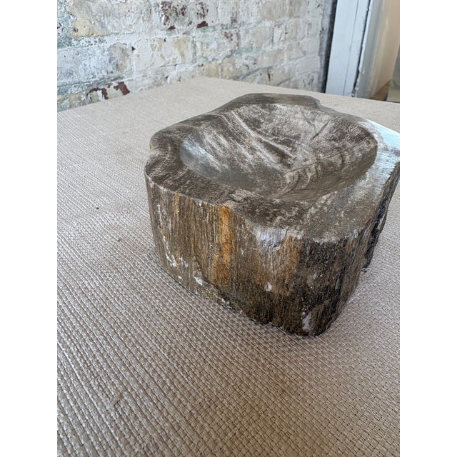 Hand-Carved Petrified Teak Bowl / Organic Rustic Decorative Vessel For Sale - Image 4 of 10