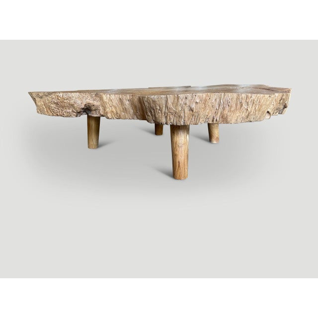 Mid-Century Modern Andrianna Shamaris Monumental Rare Burl Teak Wood Coffee Table For Sale - Image 3 of 18