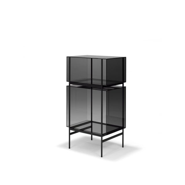 Lyn small grey black cabinet by Pulpo Dimensions: D60 x W45 x H110 cm Materials: glass; powder coated steel Also available...