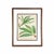 19th-Century European Fern Gallery | Set of 16 Framed Botanical Prints For Sale - Image 10 of 12