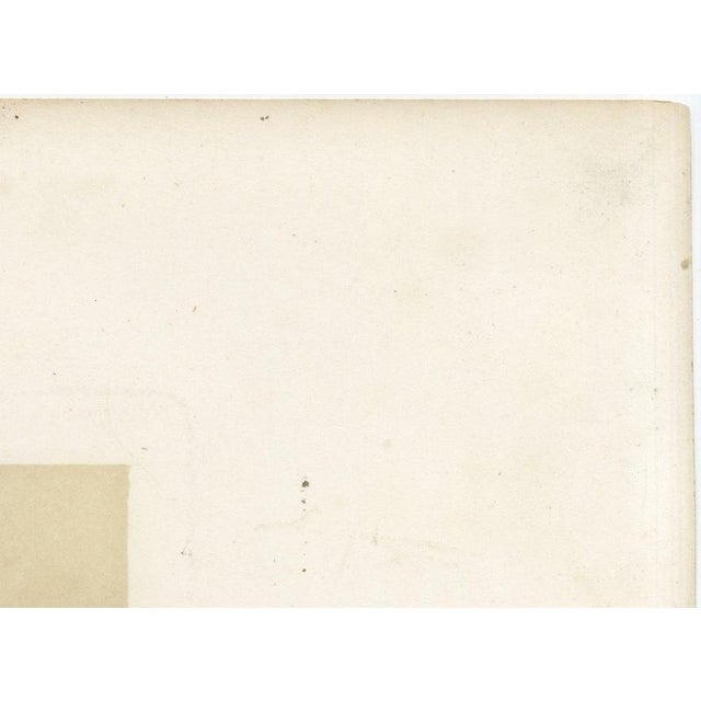 Gold Oudet After Melin, Norman Cow, 1873, Paper For Sale - Image 8 of 12